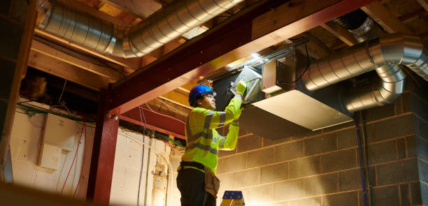 Best Air Duct Mold Removal  in Burbank, CA