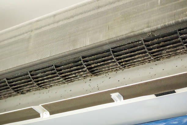 Best Affordable Air Duct Cleaning  in Burbank, CA